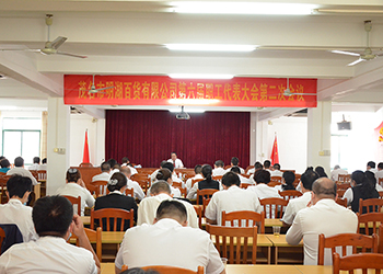 公(gōng)司召開第六屆職工(gōng)代表大會第二次會議