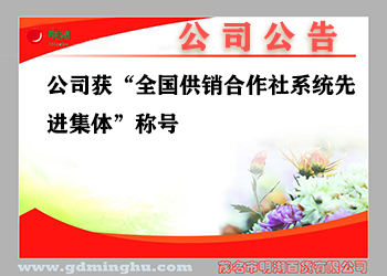 公(gōng)司獲全國(guó)供銷合作(zuò)社系統先進集體(tǐ)