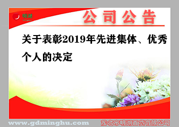 關于表彰2019年先進集體(tǐ)、優秀個人的決定